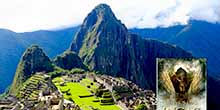 Top 10 best books that explain Machu Picchu